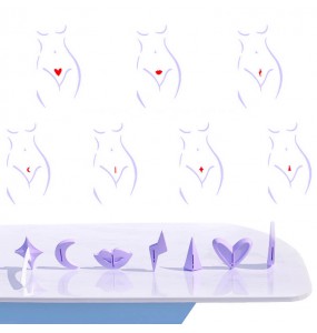 Female Pubic Hair Trimmer Shaving Stencil Tools Kit (7 Pieces Set)